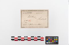 Etiketten zu Eisendolchmesser (NHMW-PRAE-023796)